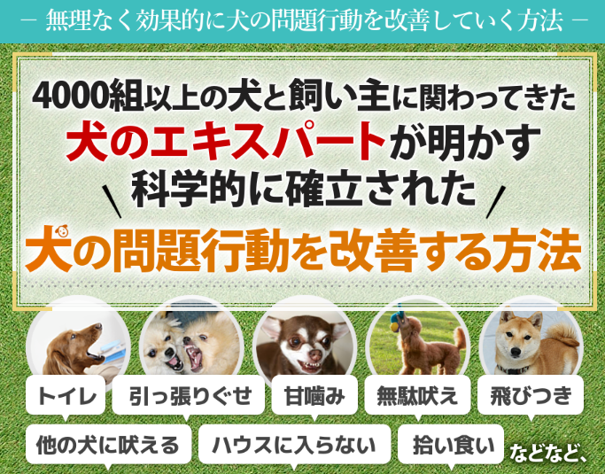 犬のしつけ革命の商品画像